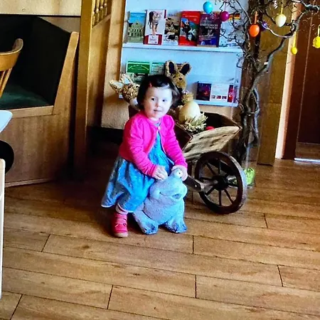 Πανσιόν Spreewaldhof 3*